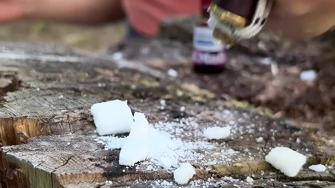 FULL Survival Guide from an 18-Year-Old Girl – 50 Days in the Forest with Ultimate Part17