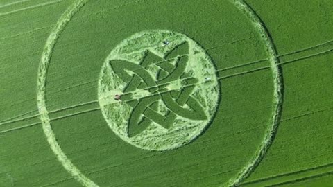 Cercle des premières cultures 2025 | Sutton Veny