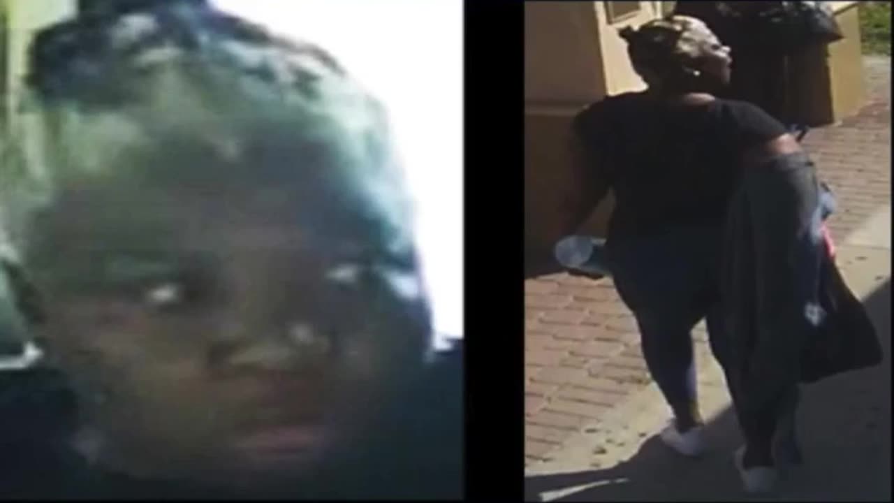 Black woman attacks 70 year old White elder