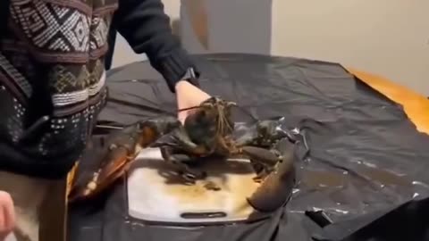 🦞🤕 Came to End the Lobster, Left with a New Piercing! | FunFM