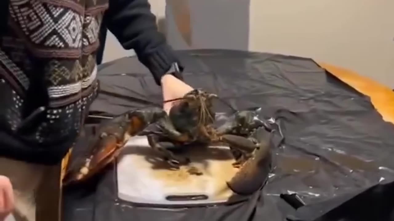 🦞🤕 Came to End the Lobster, Left with a New Piercing! | FunFM
