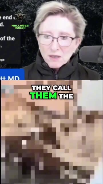 Underground Harvesting Areas 🤔