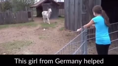 Girl's strong bonds with donkey