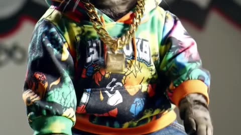 Hip-hop cat!