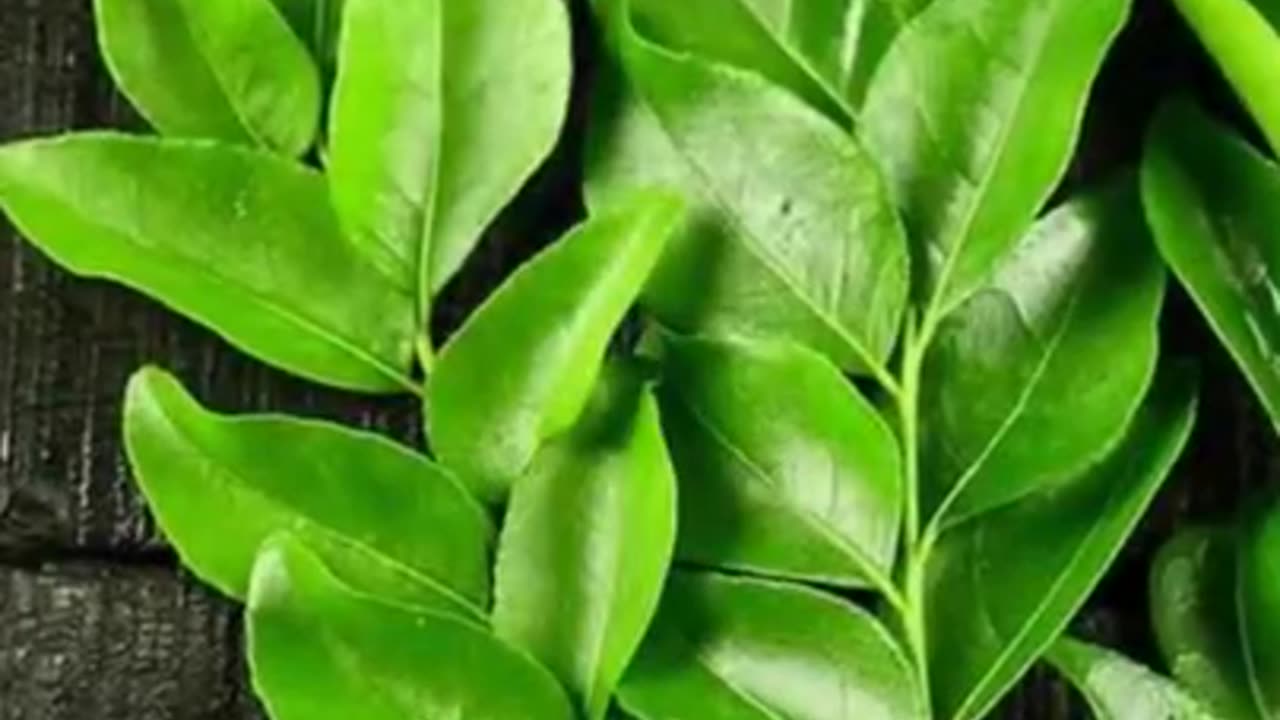 Two benefits of eating curry leaves