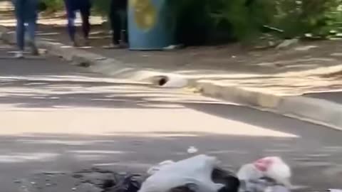 VIDEO: Comunidad de Villa Gonzales