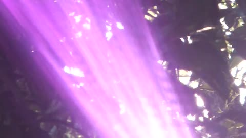 Light codes, Rays, Flames and the Creators Emanation of love and compassion for all Earth Beings.