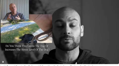 Flipping the Script on Keven Murdaugh's Copy Cat Cesar Millan Approach