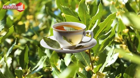 How to make bay leaf tea