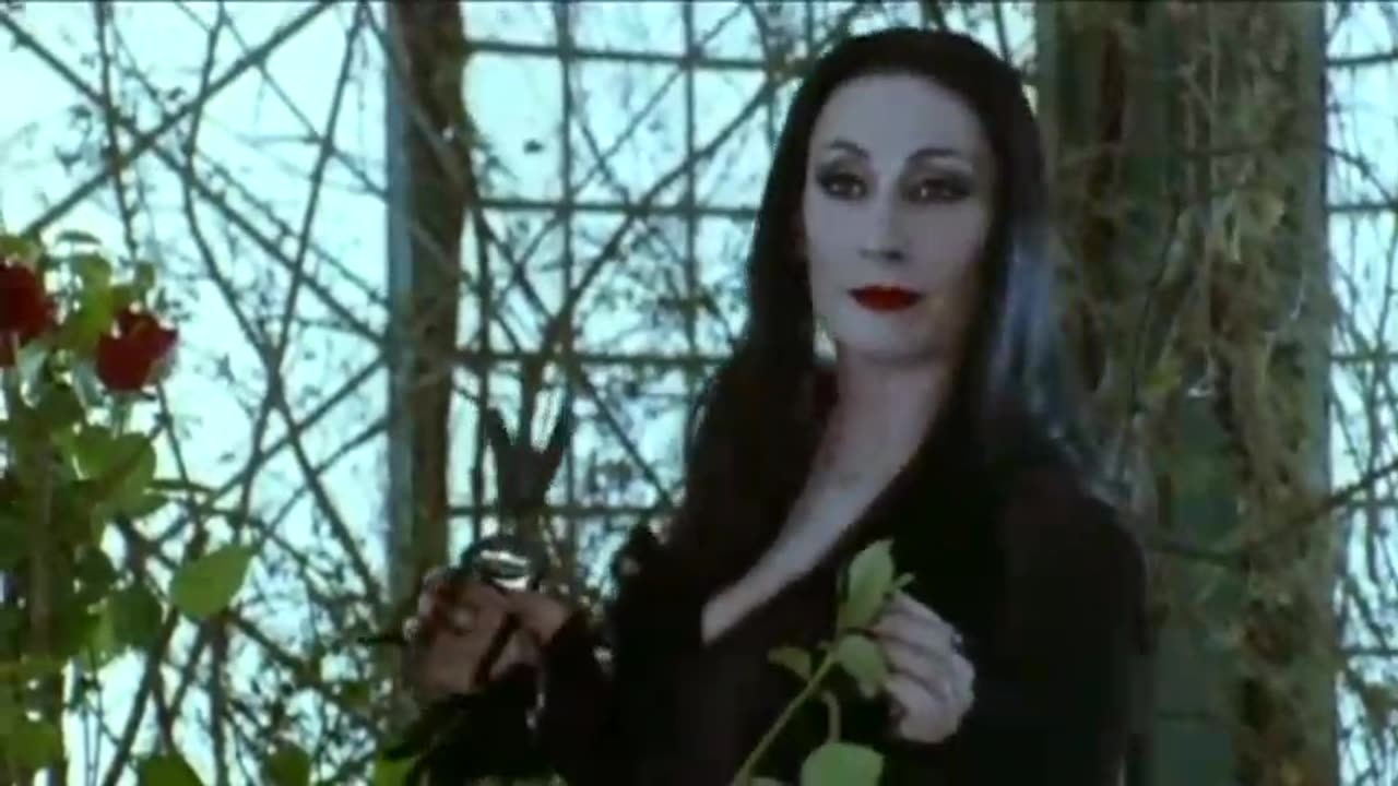 The Addams Family (1991 film)