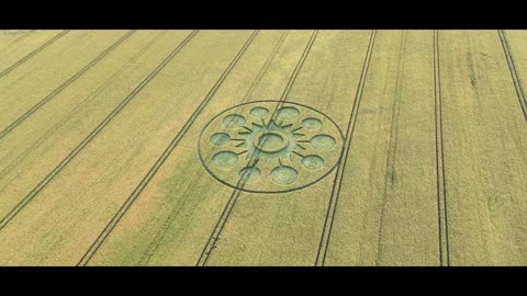 Crop circle signalé le 06/08/25 à Falkner's Stone Circle, Avebury.