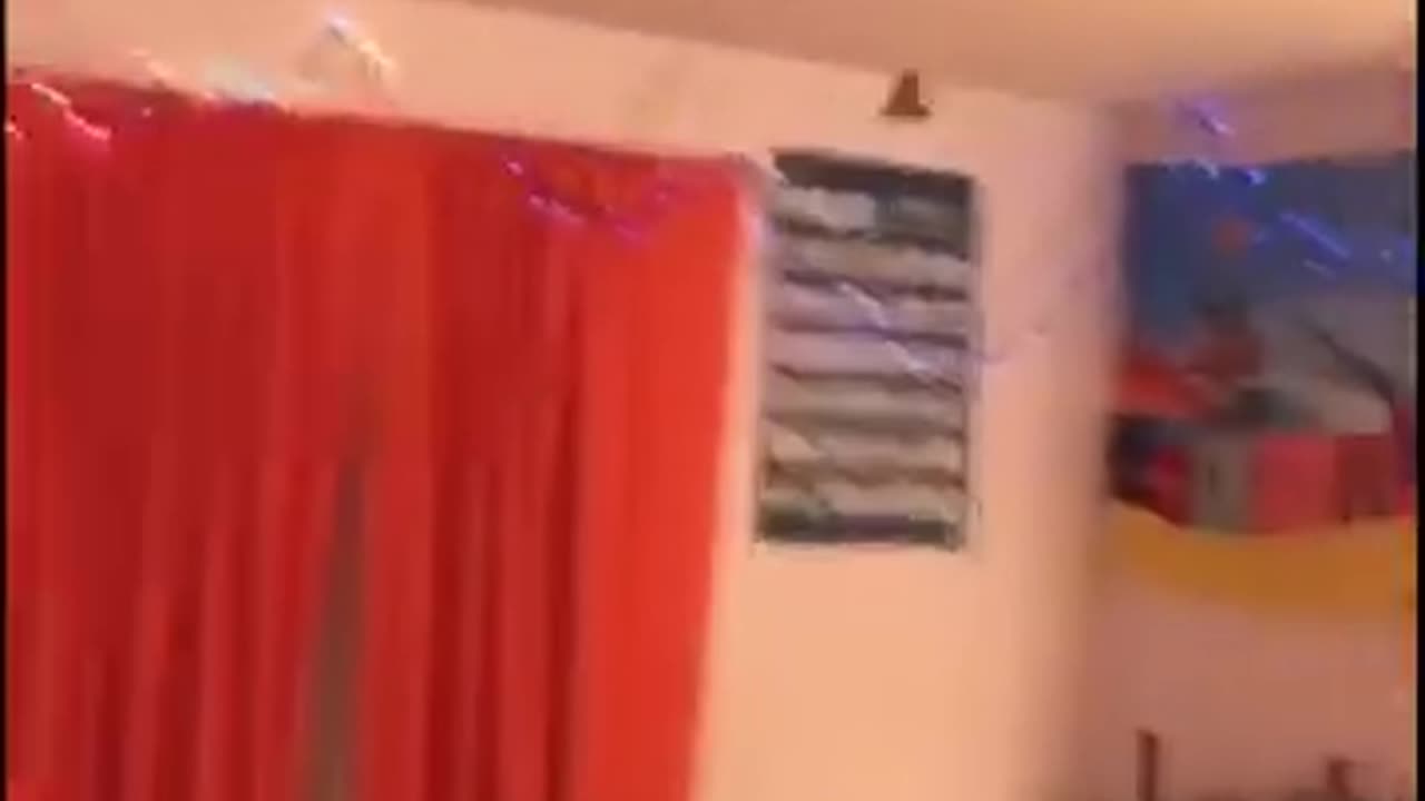 Funny animals 😂😻