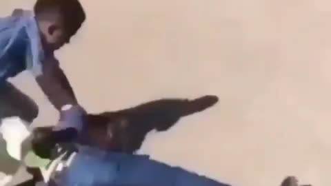 White vs Black kid