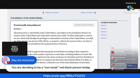 Black Youtube (FBA) Grifters & the 14th amendment. Birthright citizenship