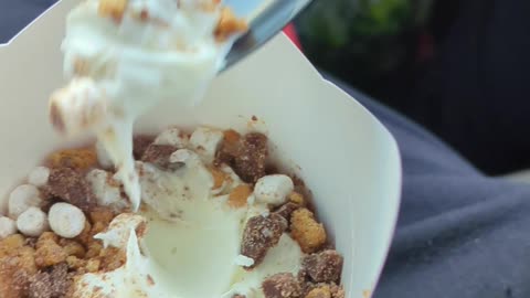 McDonalds Schmores Mcflurry Taste Test The Fast-Food Restaurant & Dessert Review Guys