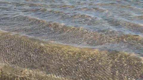 Serene Coastal Ripples on a Sandy Beach