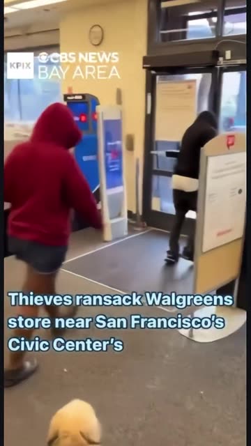 Diversity destroying high trust society