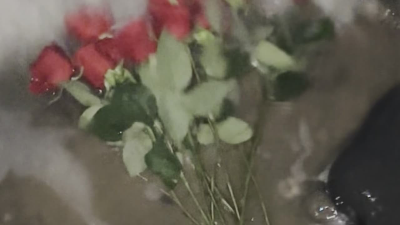 EVERYTHING I DO IS TO MAKE YOU PROUD (2025)