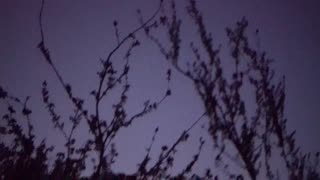 Orb Near Plane - September 13th 2025