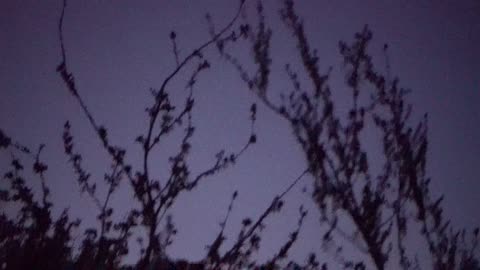 Orb Near Plane - September 13th 2025