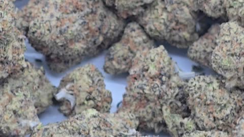 Grape Pie