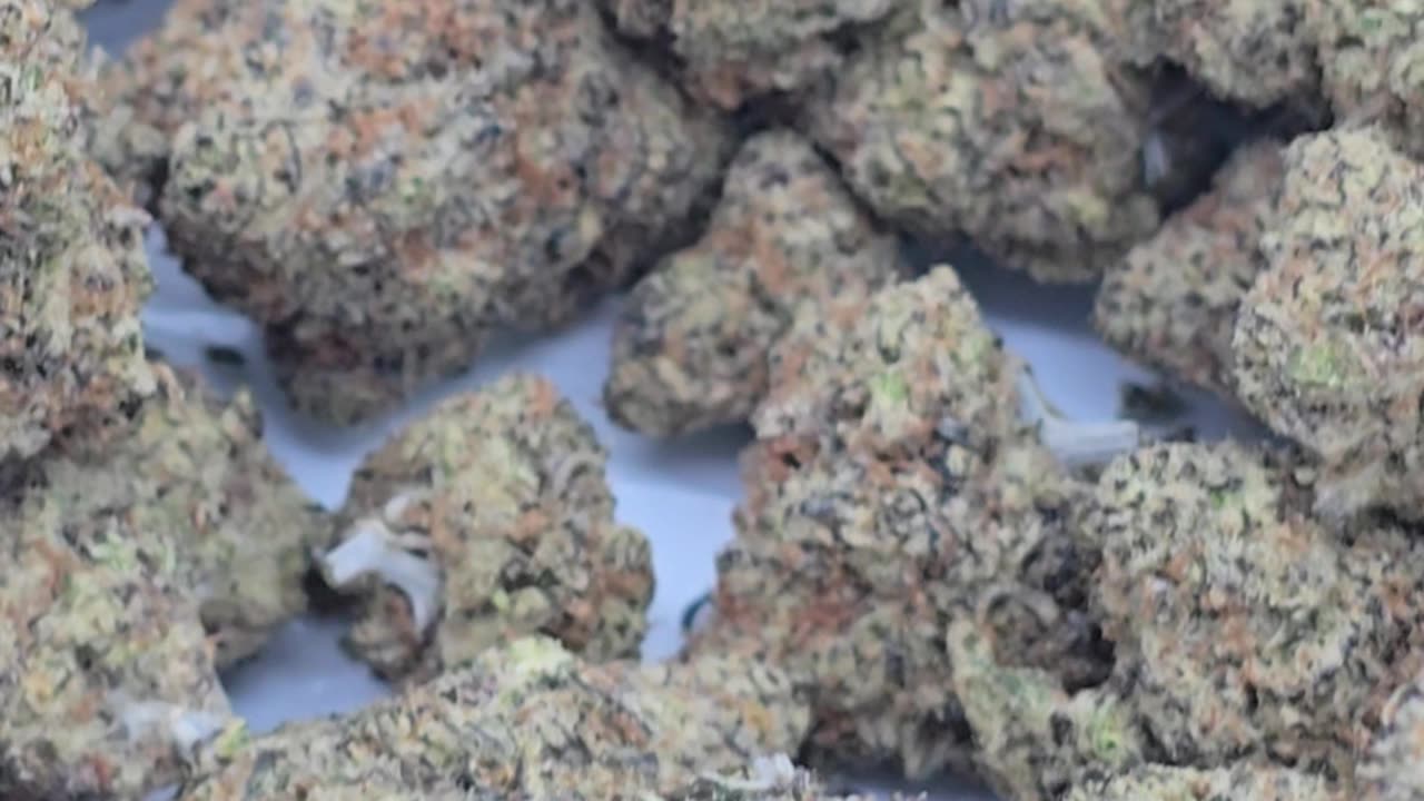 Grape Pie
