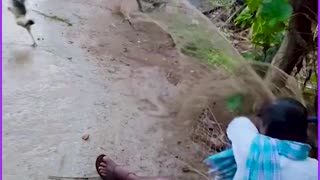 Funny video