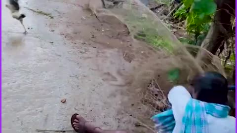 Funny video