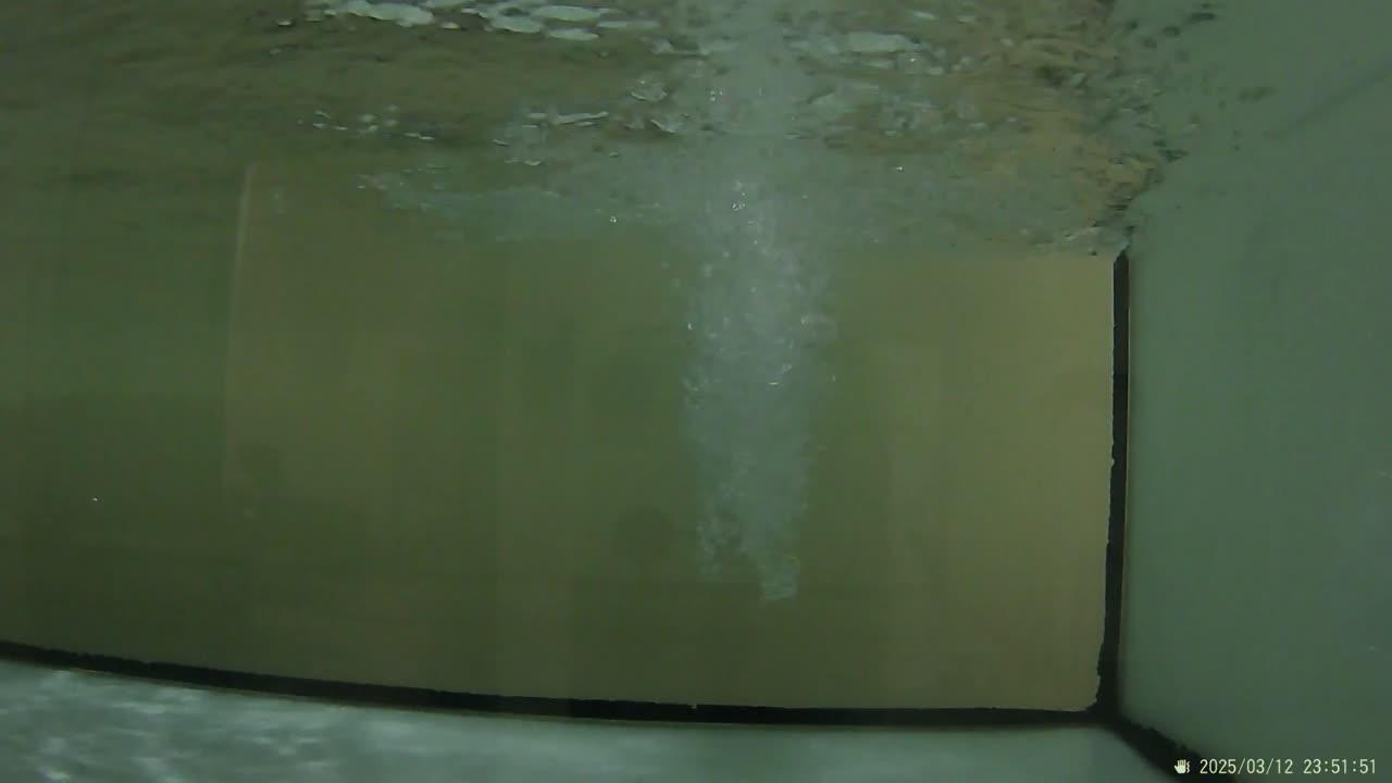 "The Beauty of Super Red Arowana in an Aquarium, Part 24"