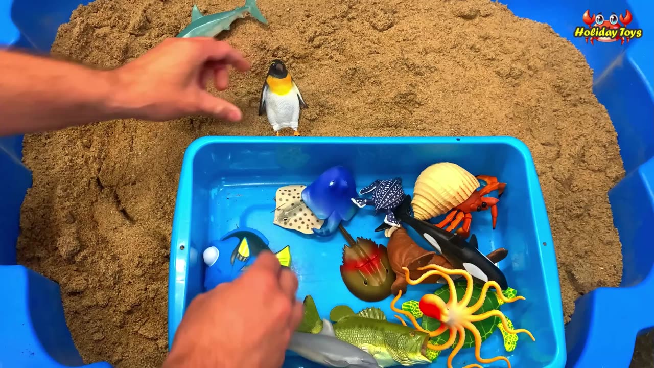 Bury the Green Turtle in the Ground Because it will Lay Eggs