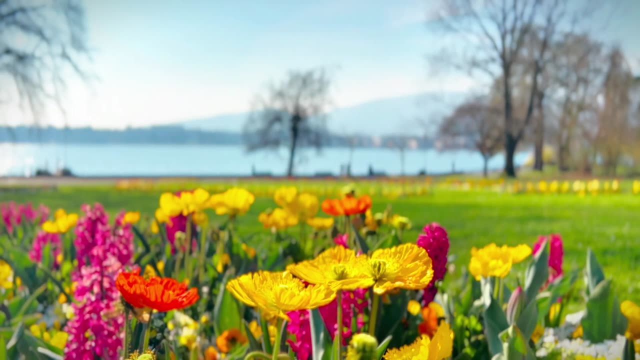Lake Geneva to Enjoy