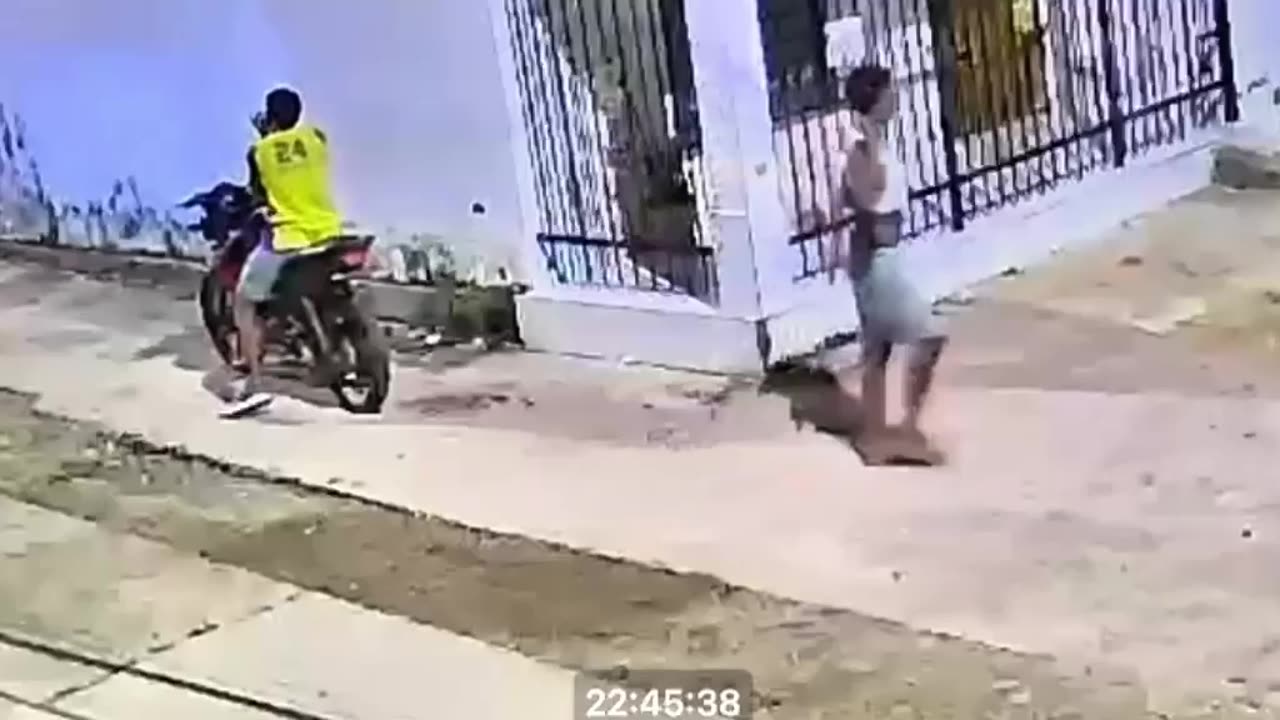 Maltrato animal en Cartagena