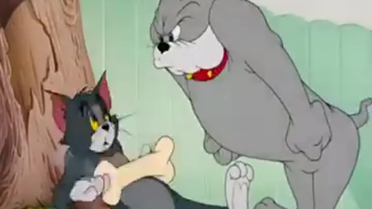 Tom and jarry funny 🤣🤣