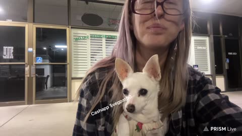 06/24/25 Vegan Patriot VOD: "well its haunting me but i feel fine 😎💅🔥"
