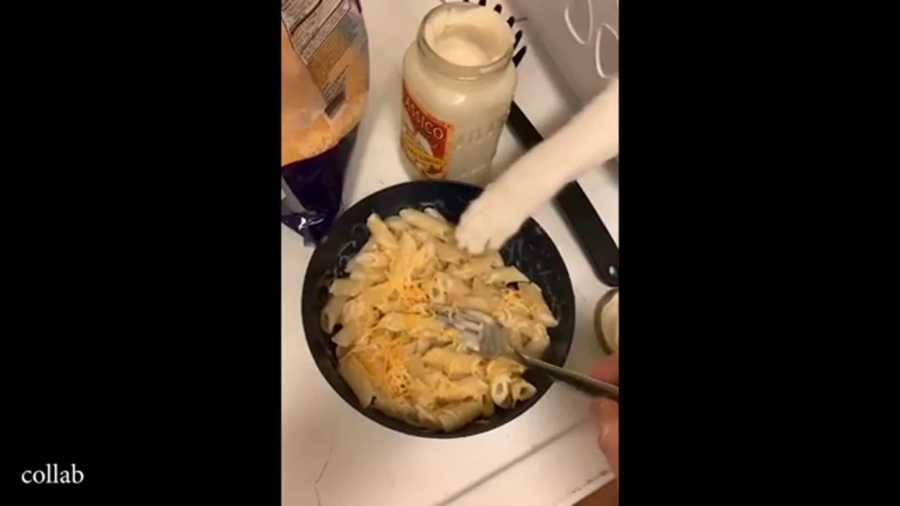 TRY NOT TO LAUGH 😆 Best Funny Videos Compilation 😂😁😆 Memes.