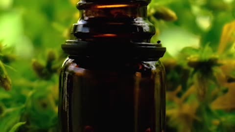 Top 5 Essential Oil Brands You Can Trust