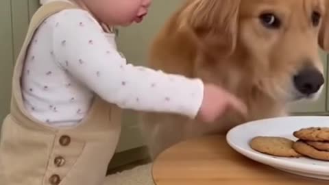 Cute Baby Playing With Animals | Adorable Baby & Pets Moments | Funny Animal Reactions”