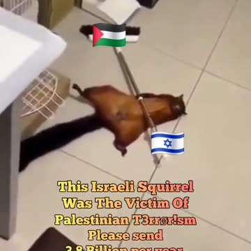 VIDEO PROOF FINALLY! An Israeli Squirrel was the victim of Palestinian crime.