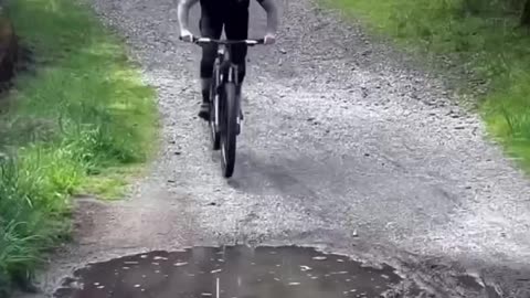 #funnyvideosdaily