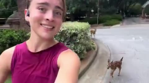 🦌 Playtime with a Baby Deer!