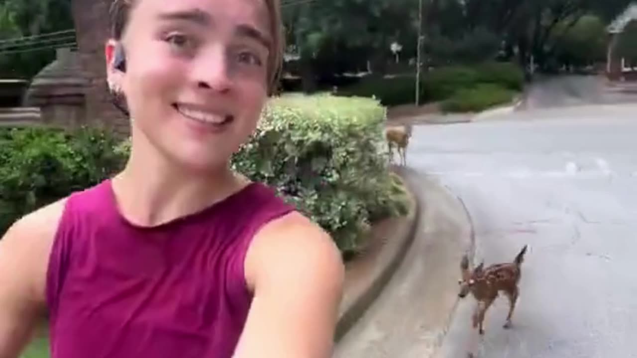 🦌 Playtime with a Baby Deer!