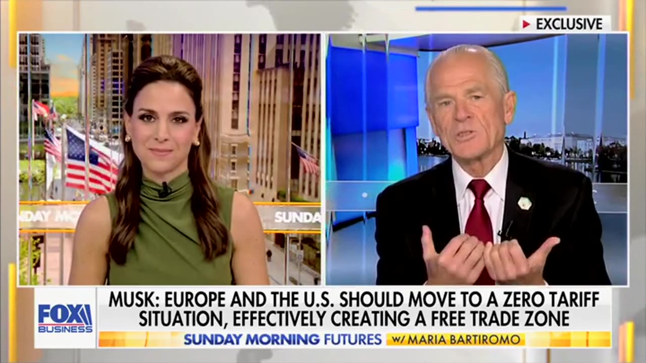 Peter Navarro Says There Is 'No Rift' Between Himself And Musk
