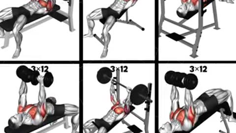 Incredible: Top 9 Chest Workout to Maximize Chest Growth #workout #chestworkout
