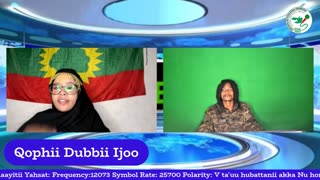 Qophii Dubbii Ijoo ONM-ABO Fulbaana 16-2025 itti dhiyaadhaa!