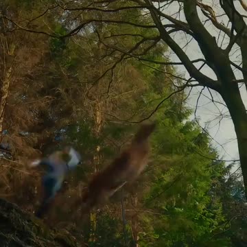 Hollywood movie short video