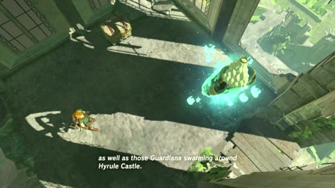King Rhoam Cutscene - Breath of the wild