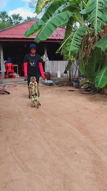 Perfect video SokYaa, OG, Pao & Mom Are Famous Around The World #shorts #anime #trend #edit