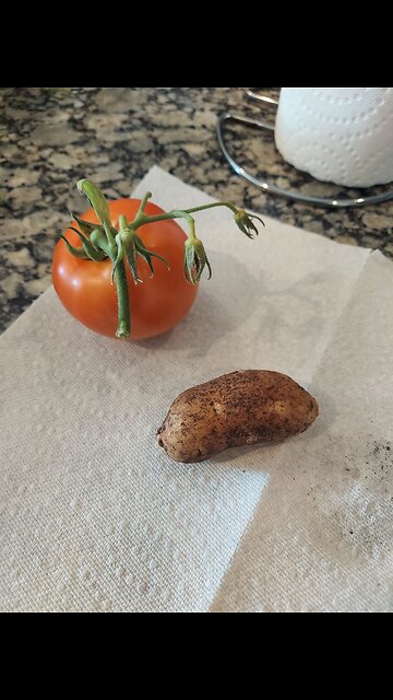 52 Sundays! Potatoes, Tomatoes, and Corn! Part II