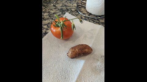 52 Sundays! Potatoes, Tomatoes, and Corn! Part II