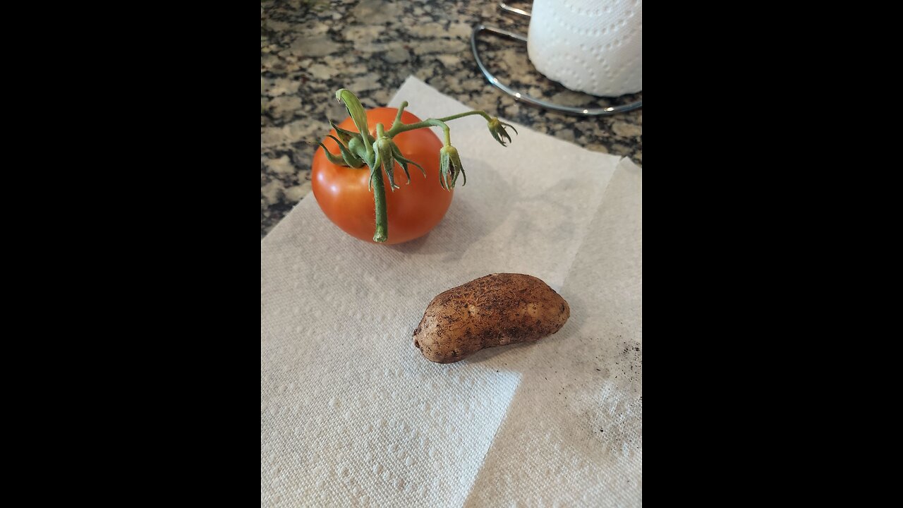 52 Sundays! Potatoes, Tomatoes, and Corn! Part II